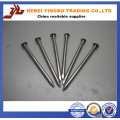 3"Xbwg10 Polished Common Nails with Loose Package